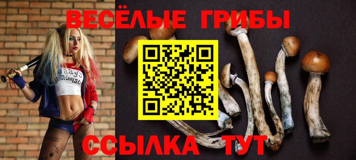 Галлюциногенные грибы Psilocybe  Вход с VPN  Луга 